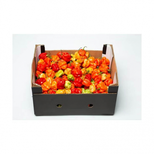 Scotch Bonnet - Box